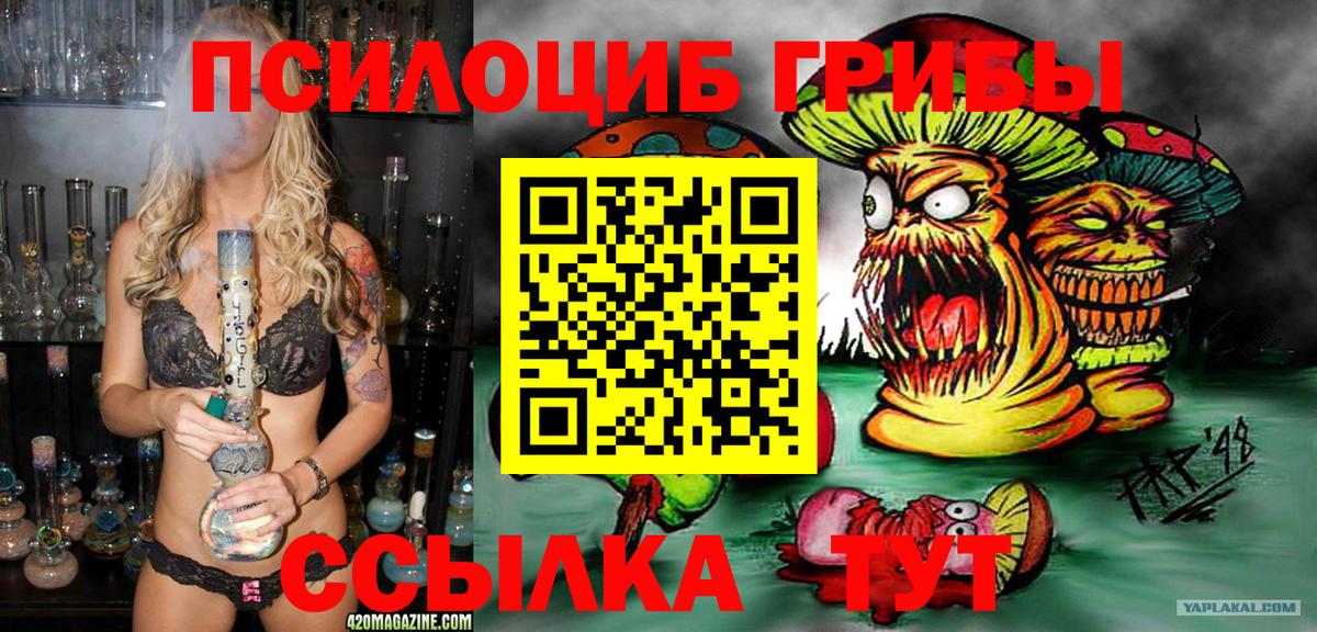 сколько стоит  Вход с VPN  Галлюциногенные грибы мухоморы  Новоуральск  Псилоцибиновые грибы Psilocybine cubensis 