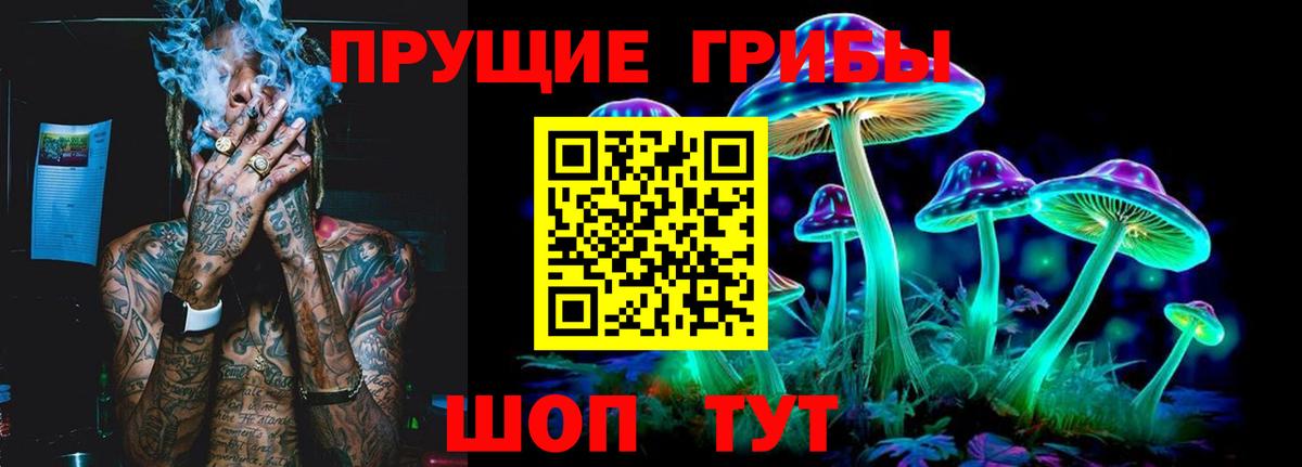 Псилоцибиновые грибы Psilocybe Новоуральск